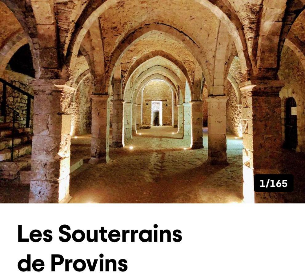 Harmonia Maison De Caractere Proche Provins Gouaix Luaran gambar